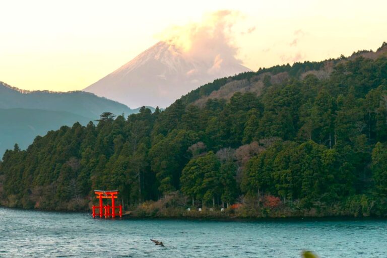 Japan Guide: How (Not) to Take a Day Trip to Hakone